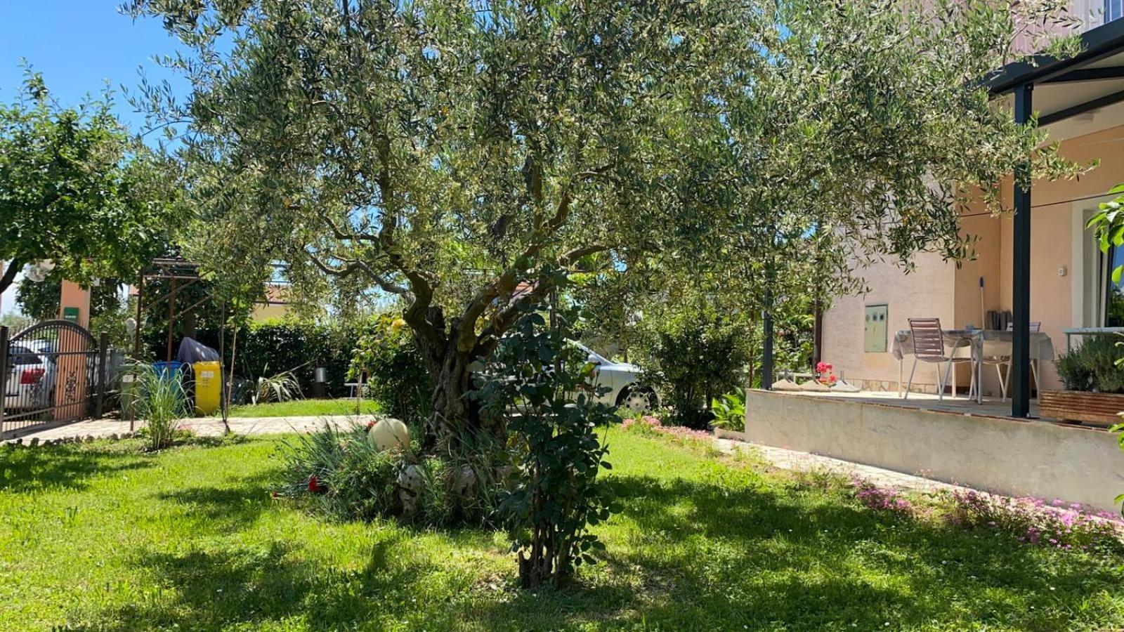 Apartment Gracijana Poreč Extérieur photo